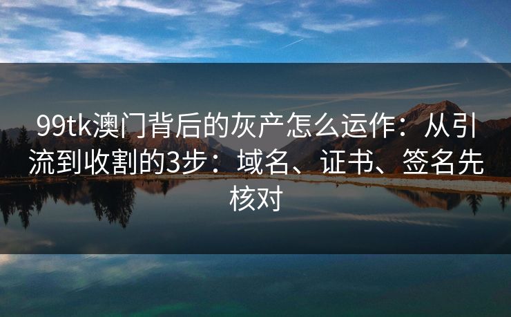 99tk澳门背后的灰产怎么运作：从引流到收割的3步：域名、证书、签名先核对